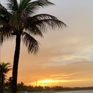 Meet your Posher, Korah